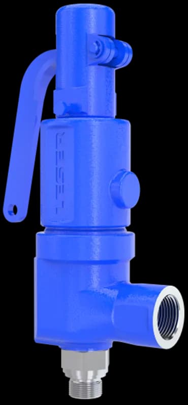 LESER Type 460 Threaded Heating Safety Valve